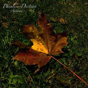 国产特黄刘涛性爱视频
